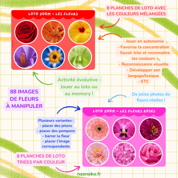 PDF - Loto Memory "Zoom" des Fleurs 🌻🌺🌼 – Image 2