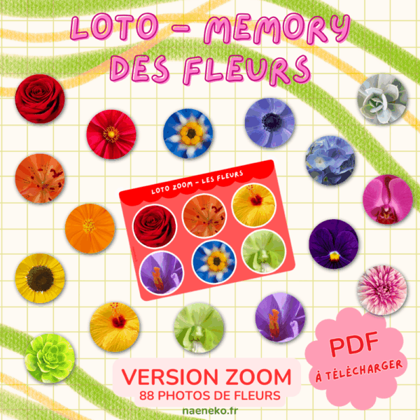 PDF - Loto Memory "Zoom" des Fleurs 🌻🌺🌼