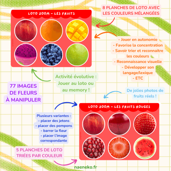 PDF - Loto Memory "Zoom" des Fruits 🍓🍋🥝 – Image 2