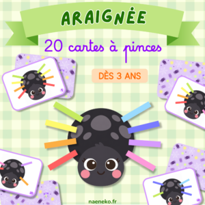 Araignée Halloween 🕷️ - Cartes à pinces