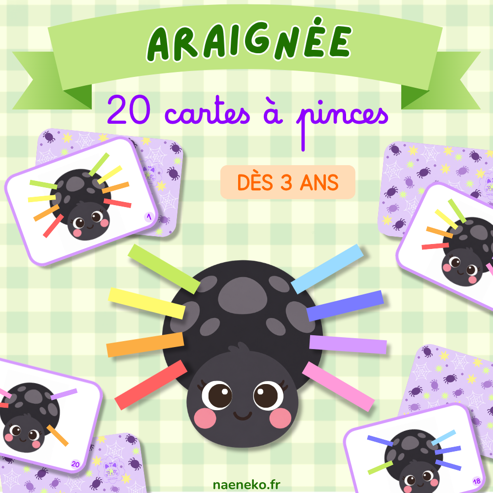 AraignĂ©e Halloween đ·ïž - Cartes Ă pinces